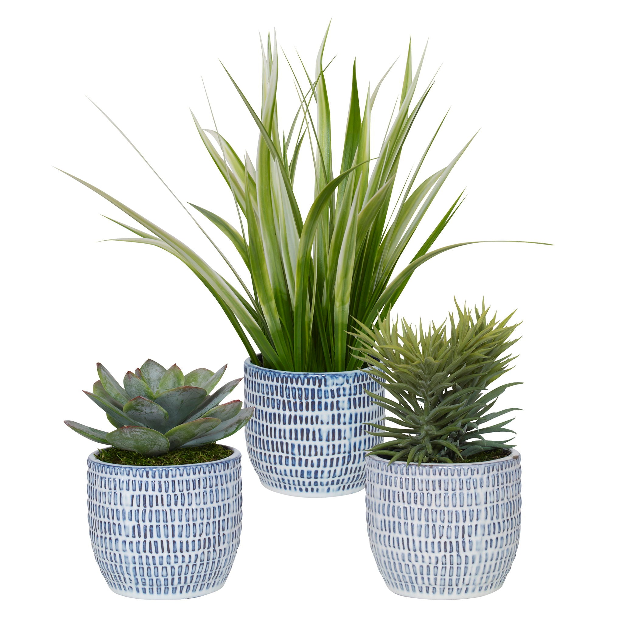 Puebla – Greenery In Blue & White Pots (Set of 3) – Green