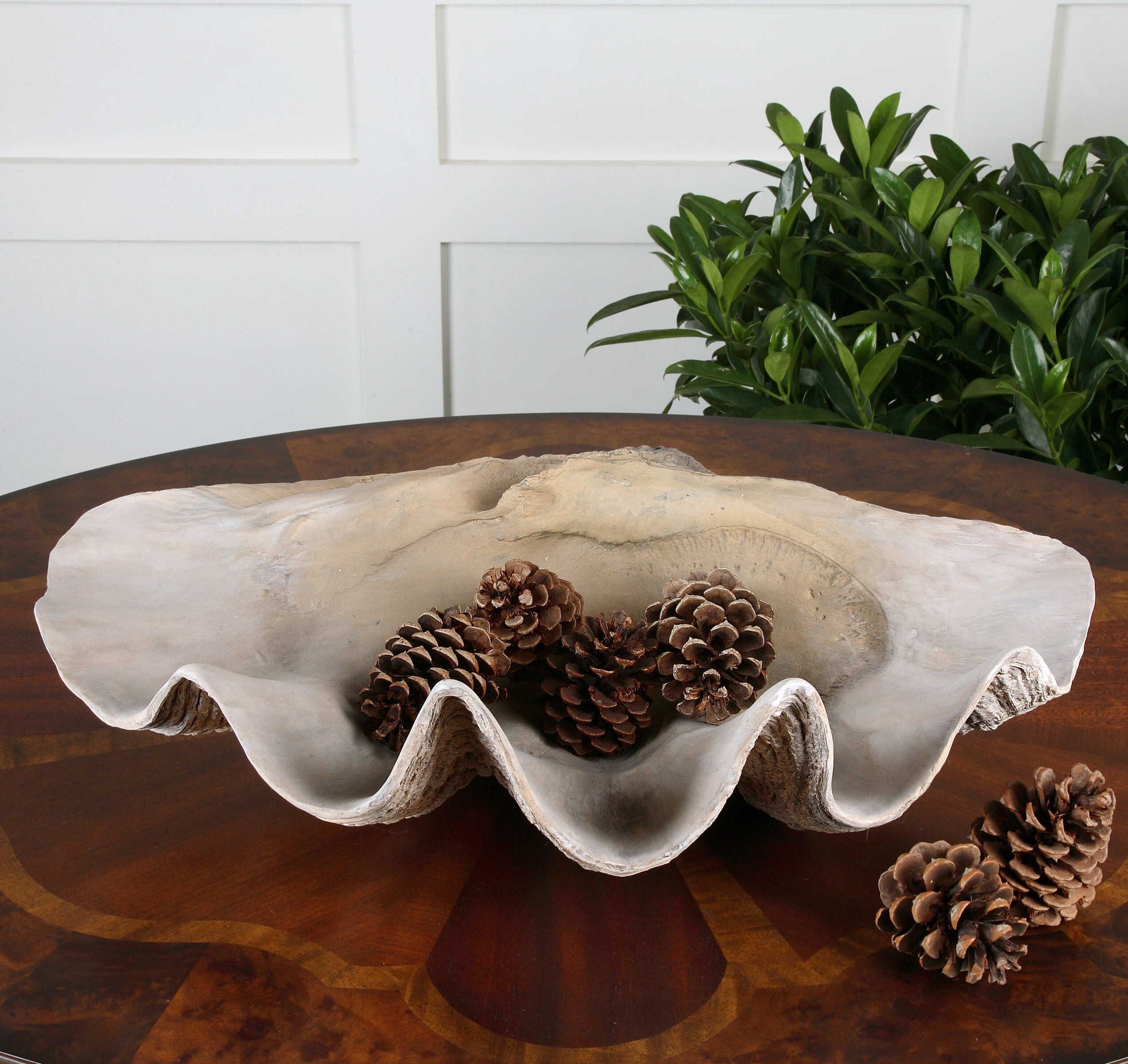 Clam - Shell Bowl - Beige - Image 3