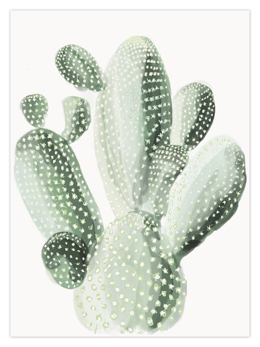 Opuntia Cactus (W) - Image 1