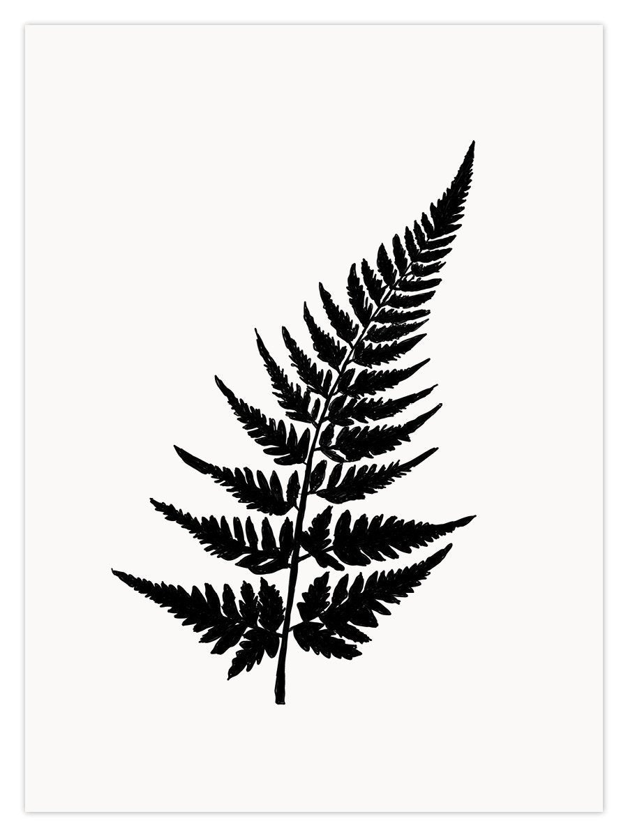 Fern (W) - Image 1