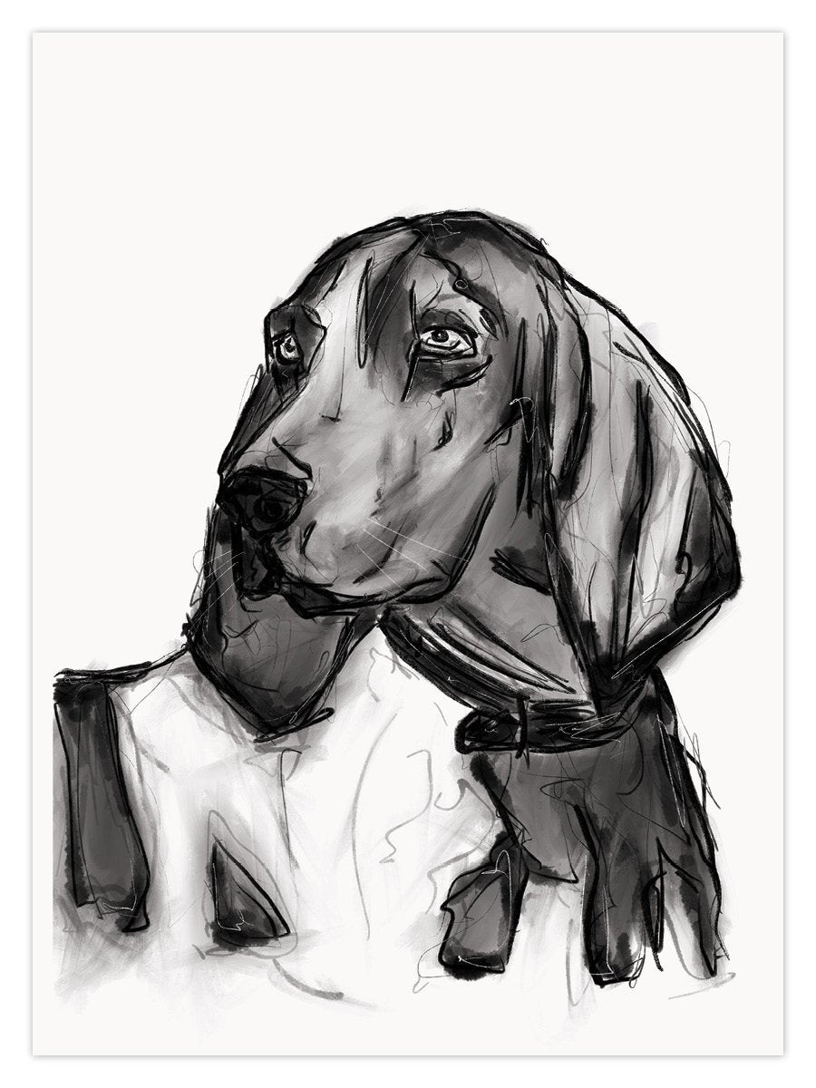 Molly (W) - Image 1