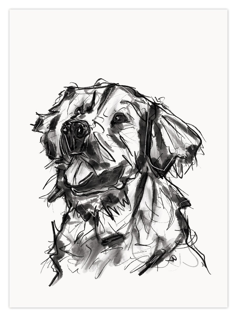 Roofus (W) - Image 1