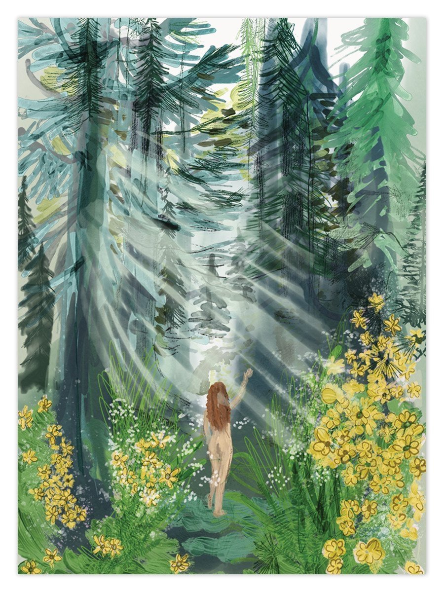 Coming Home (W) - Image 1